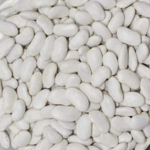 Fasulye