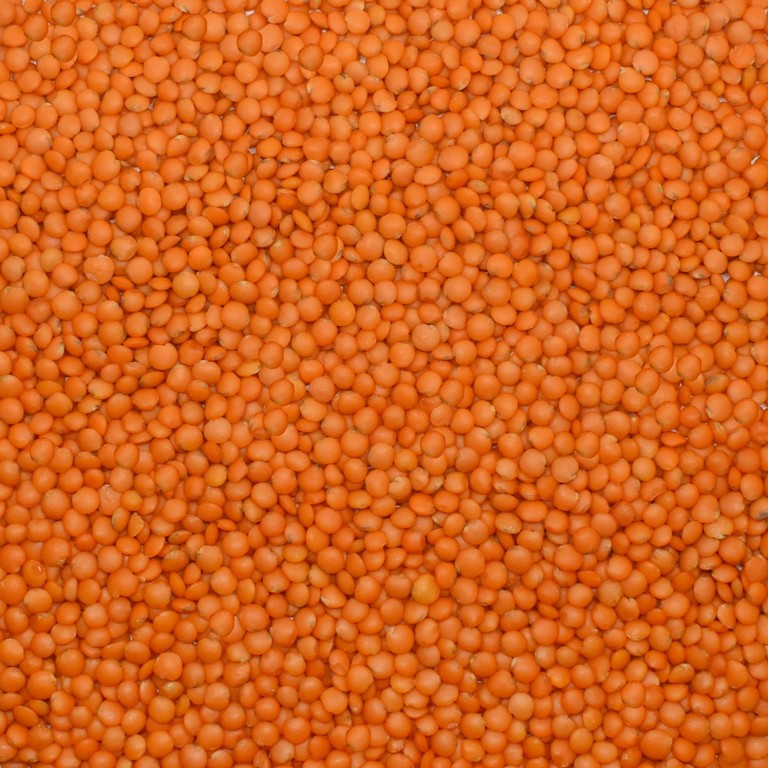 Kırmızı Mercimek